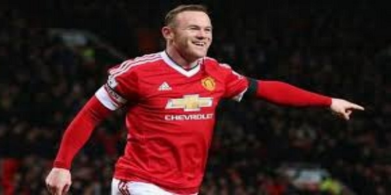 中场核心：开云体育评点不列颠智慧与血性-开云体育