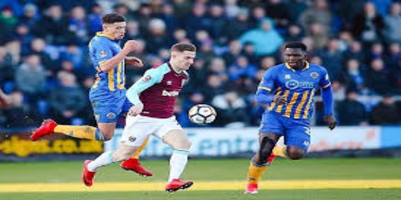 周一终章：开云体育点名必入的超级中场-开云体育